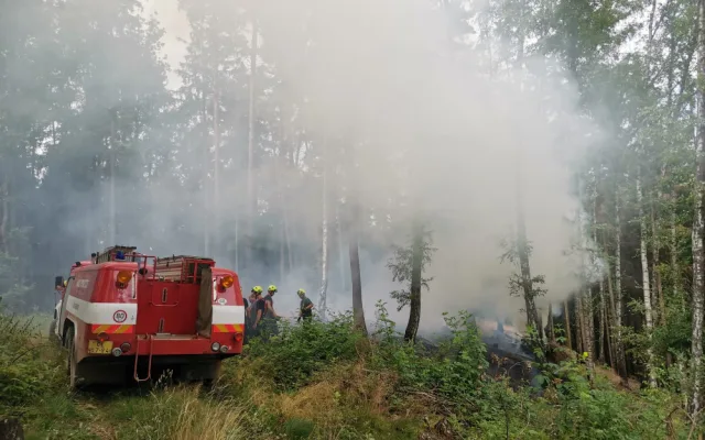 U Jablonného hořel les, hasičům se povedlo oheň lokalizovat