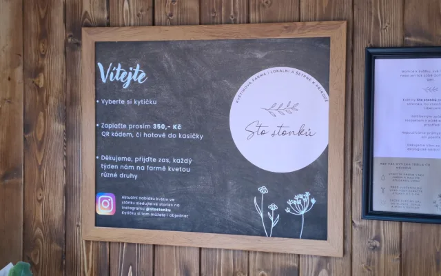 Květinářce nechybí odvaha a nadšení. Samoobslužný stánek v Liďákách frčí