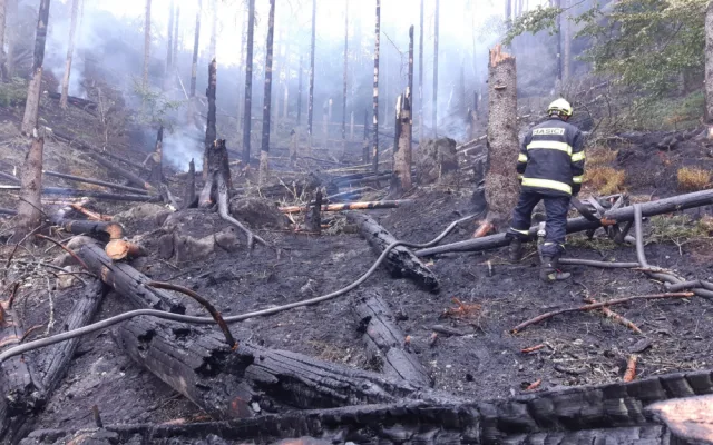 Vidět spáleniště s ohořelými zbytky bylo skličující, vzpomíná hasič na požár v Českém Švýcarsku
