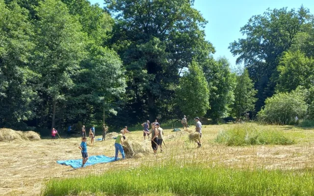 Dobrovolníci z Čmeláku a studenti opět vyrazili do boje s invazní lupinou