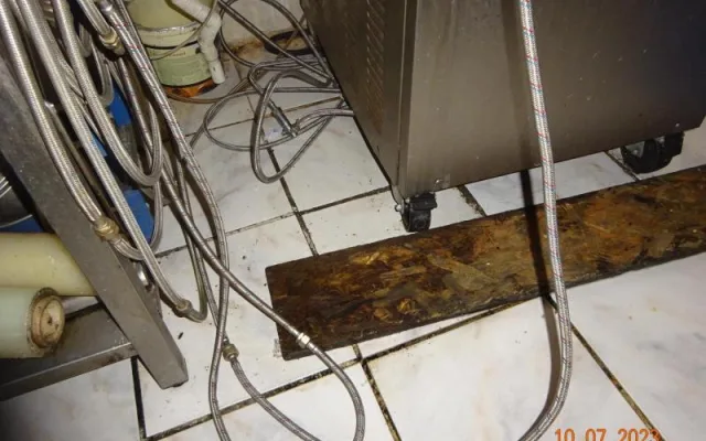 Dříve vyhlášenou zmrzlinárnu zavřela inspekce. Našla trus hlodavců i plesnivé potraviny