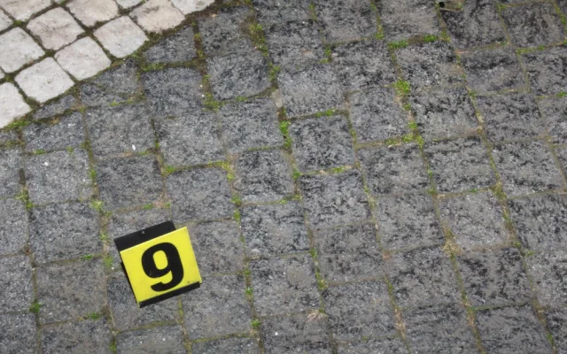 Prchal s prsteny polonahý po náměstí. Doma je schoval do ponožky