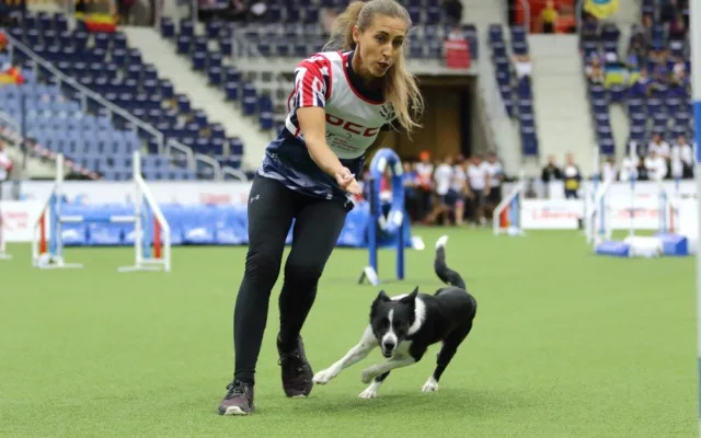 Šampionát v agility zná první mistry světa. O dalších se rozhodne o víkendu