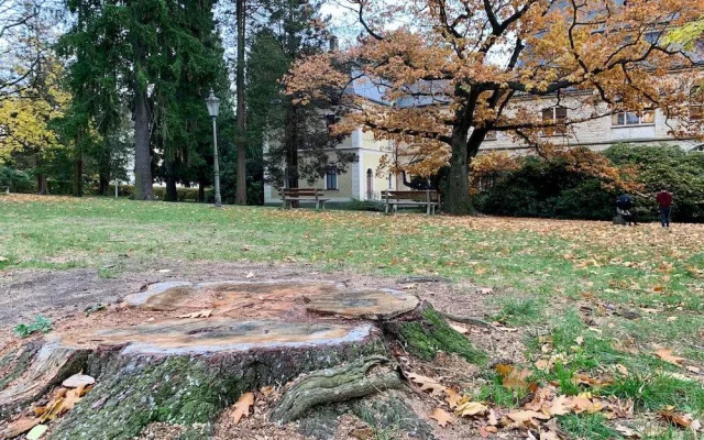 Muzejní park čeká rekonstrukce za 40 milionů. Čeká se na dotace