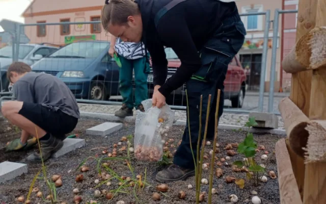 Oprava náměstí v Novém Městě spěje k závěru. Rozsvítí ho tisíce květů