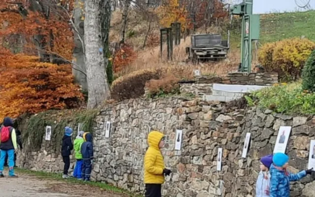 Děti vysadily na počest válečných veteránů u Tesařovské kaple jeřáby jedlé