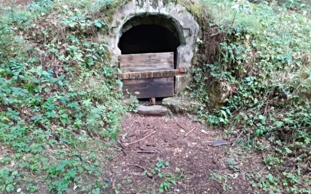Na začátku byla fotografie a vzpomínky německé rodačky. Hornovu studánku v Ralsku se podařilo obnovit