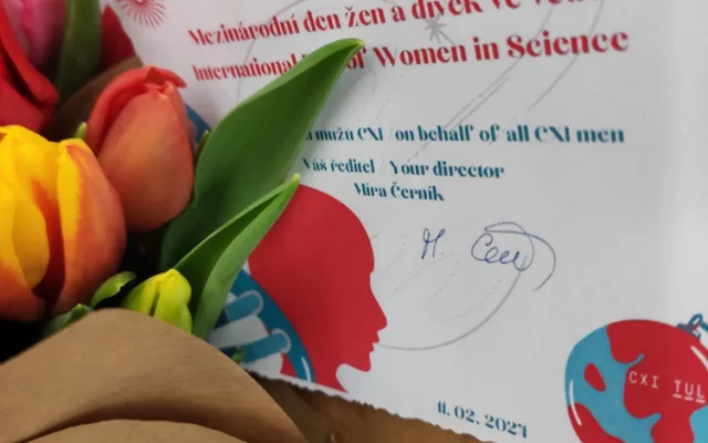 V ústavu pro nanomateriály pracují skoro čtyři desítky vědkyň
