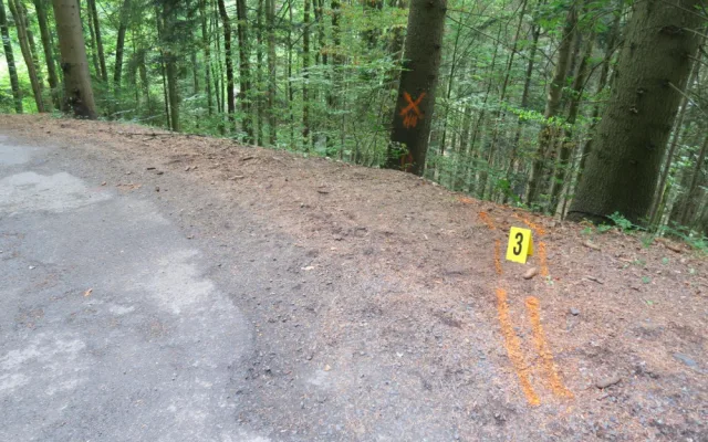 Motocyklista se chvíli nevěnoval řízení a narazil do stromu