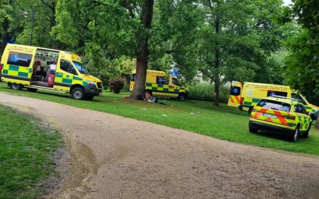 Na dětském dnu ve Vratislavicích uhodil blesk. Třináct zraněných, z toho pět dětí