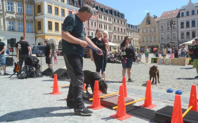 Mistrovství ČR vodících psů nabídne napínavou soutěž i zábavu