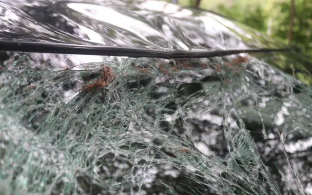 Statný jelen skončil nečekaně na auto a zmizel v lese