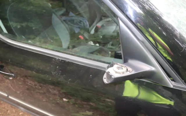 Statný jelen skončil nečekaně na projíždějící auto a zmizel v lese