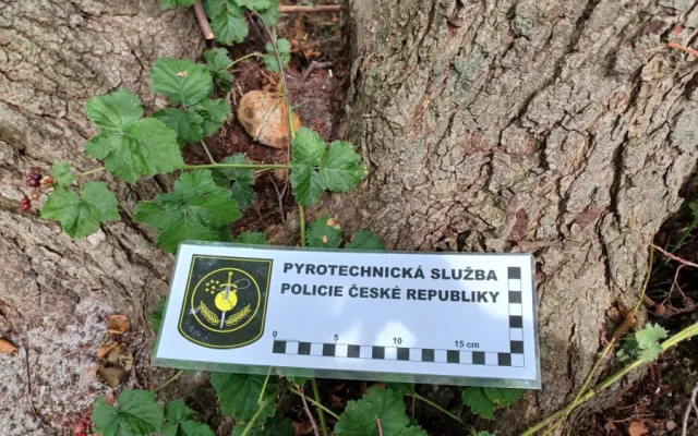 Pyrotechnik uzavřel hlavní pláž na Mácháči, brigádníci od šlapadel tam našli granát