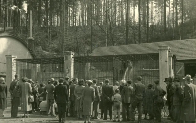 Liberecká zoo slaví 120. narozeniny. Na čtvrtek připravila speciální program a zvýhodněné vstupné