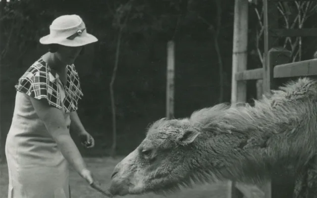 Liberecká zoo slaví 120. narozeniny. Na čtvrtek připravila speciální program a zvýhodněné vstupné