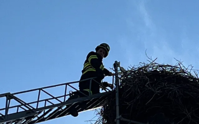 Kamera ve frýdlantském čapím hnízdě je vyčištěná, za rok bude se zoomem a zvukem