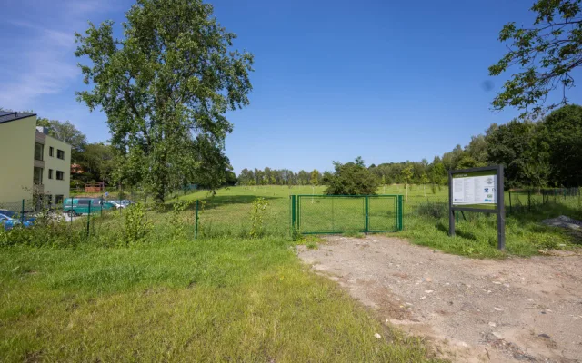 Hrušky nebo švestky hledají lidé v Hrádku v městském ovocném sadu marně. Úrodu spálil na jaře silný mráz