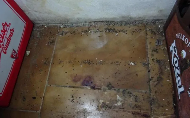 V prodejně potravin v Osečné našli hygienici mrtvou myš a všudypřítomnou špínu. S okamžitou platností ji zavřeli