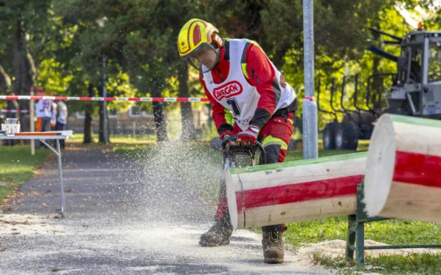 Frýdlantský park bude ve středu a ve čtvrtek hostit soutěž středoškolských týmů Jizerský dřevorubec