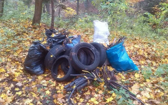 Od pátku do neděle mohou dobrovolníci v rámci akce Ukliďme Jizerky pomoci vyčistit Jizerské hory od odpadků