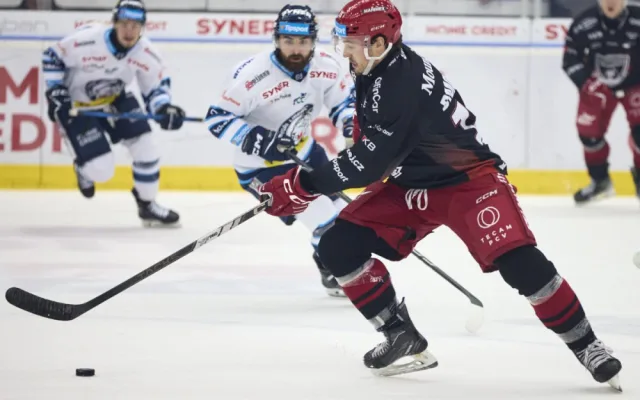 Tygři doma znovu mocně dotahovali, tři body ale bere Hradec. Tygři s ním prohráli 3:4