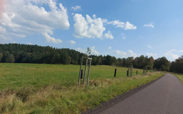 V Geoparku Ralsko bude za pomoci studentů vysázena další část ovocné Aleje vzpomínek
