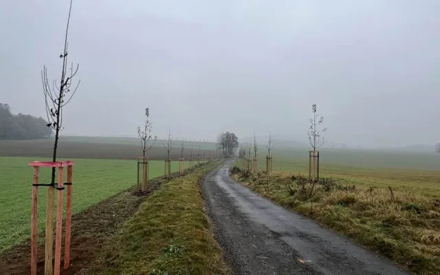 Frýdlant vysadil novou ovocnou alej ze 141 stromů, využil na to dotaci