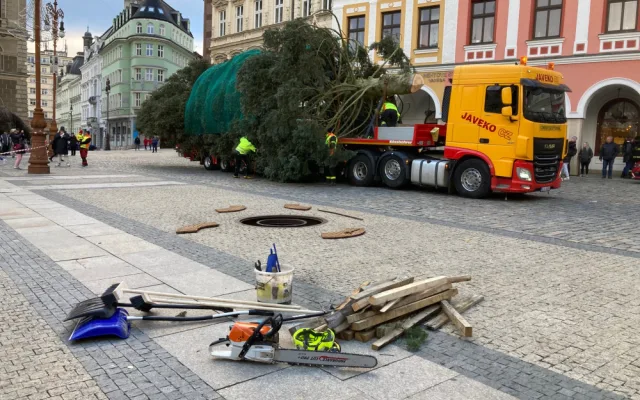 Vánoční strom Liberce už je před radnicí. Letos jde o 14 a půl metru vysokou jedli ojíněnou