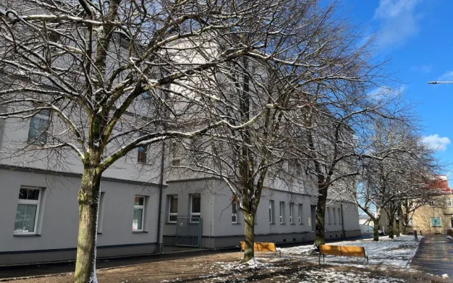 Lípy na náměstí v Ruprechticích prošly ozdravnou kúrou. Speciální půdní injektáž prokypřila půdu i vpravila živiny