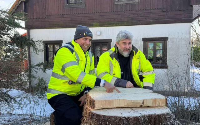 Vánoční strom pro Prahu už se veze. Na Staromáku bude stát od úterního rána