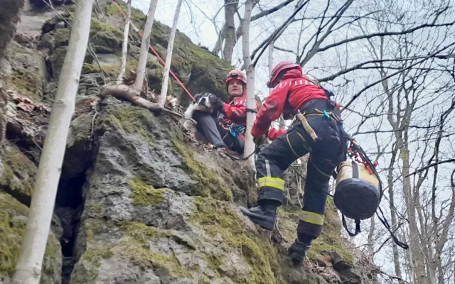 Pes utekl za srnkou, uvázl na skalní stěně. Pomoct museli hasiči