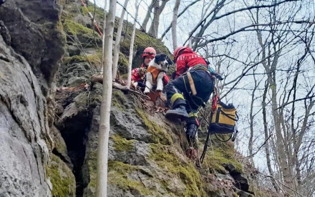 Pes utekl za srnkou, uvázl na skalní stěně. Pomoct museli hasiči