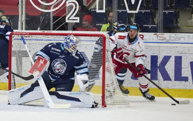 Tygři opět bodovali, zápas s Olomoucí rozhodli ve druhé třetině. Zvítězili 4:1