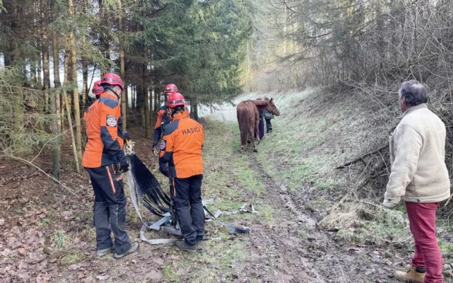 Noční zásah hasičů: s pomocí speciální záchranné sítě vytahovali v Českém ráji kobylu z 50 metrů hluboké rokle