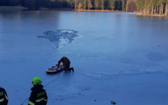 Jedenáctiletá fenka uvízla v Horní Branné v díře v ledu na rozmrzajícím rybníce. Na břeh ji hasiči dostali pomocí paddleboardu