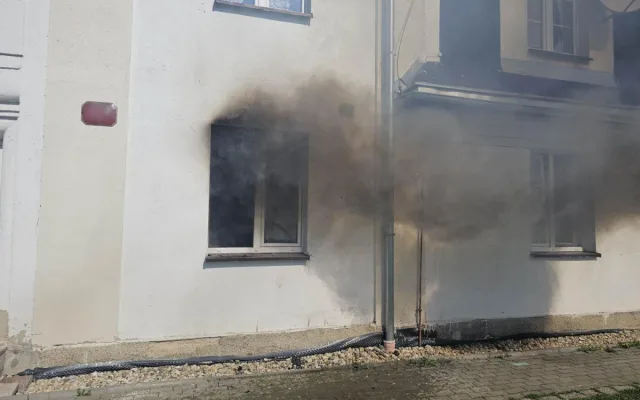 Hasiči při požáru v Horním Růžodole zachránili kočku. Poskytli jí kyslíkovou terapii