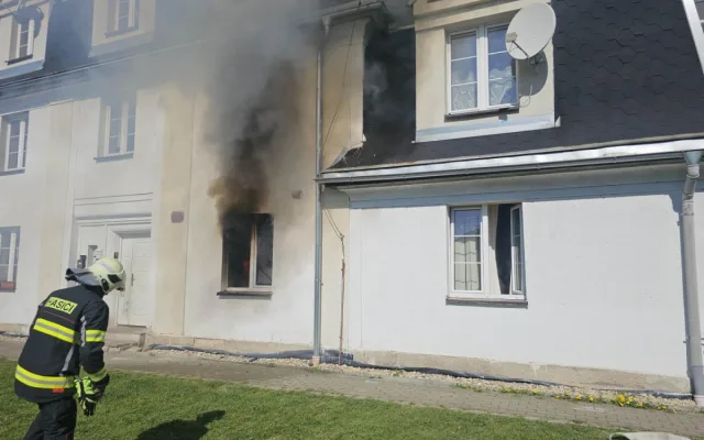Hasiči při požáru v Horním Růžodole zachránili kočku. Poskytli jí kyslíkovou terapii