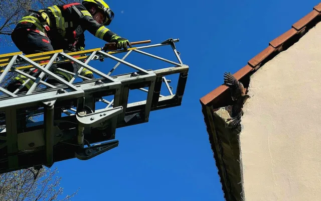 Hrádečtí hasiči zachraňovali poštolku lapenou v jutovině na kraji střechy