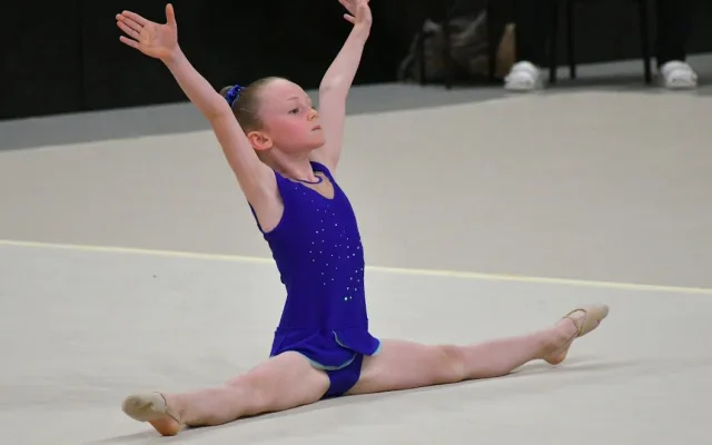 Dva tituly přebornice oblasti pro moderní gymnastky z Liberce. Celkem získaly 25 medailí