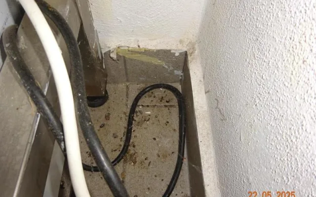 Hmyz, trus i mrtvý hlodavec. Inspekce zavřela suterén restaurace ve Frýdštejně