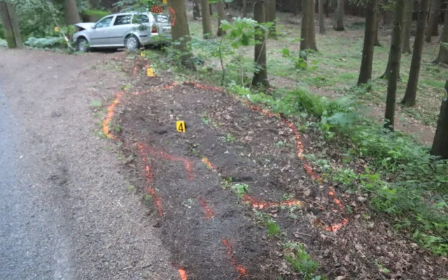 Mladá řidička nezvládla řízení a narazila do stromu. Nadýchala na 1,3 promile