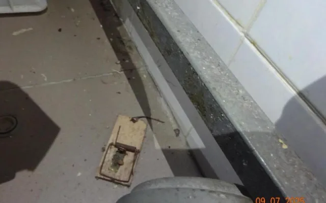 Inspekce uzavřela kvůli hlodavcům a špíně oblíbenou libereckou pizzerii