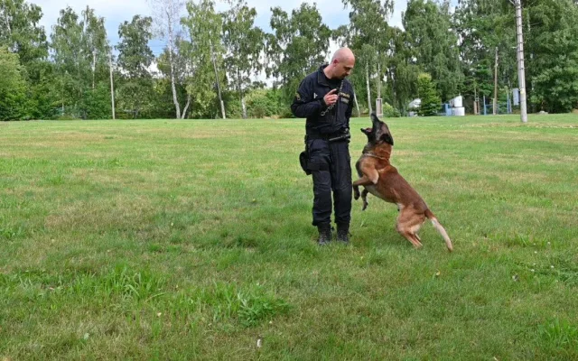 Policejní pes Rooney opět boduje. V Krkonoších našel ztraceného muže s Alzheimerem