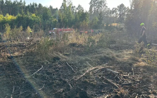 Další lesní požár. Hořelo nedaleko Máchova jezera