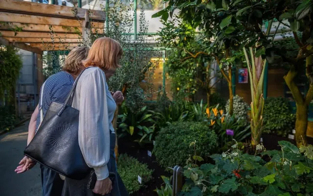 V Botanické zahradě v Liberci přibyly skleněné objekty inspirované přírodou