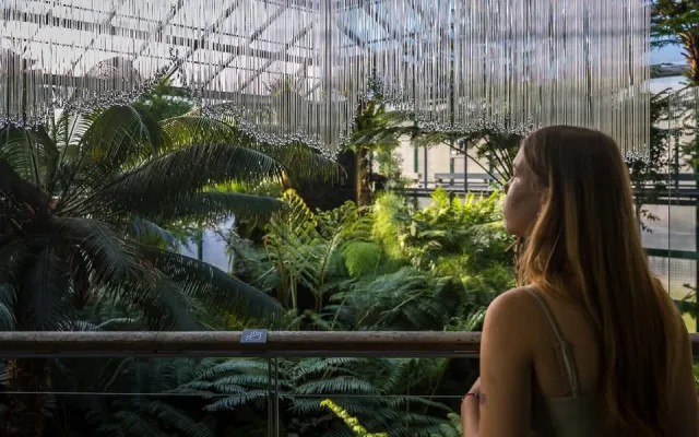 V Botanické zahradě v Liberci přibyly skleněné objekty inspirované přírodou
