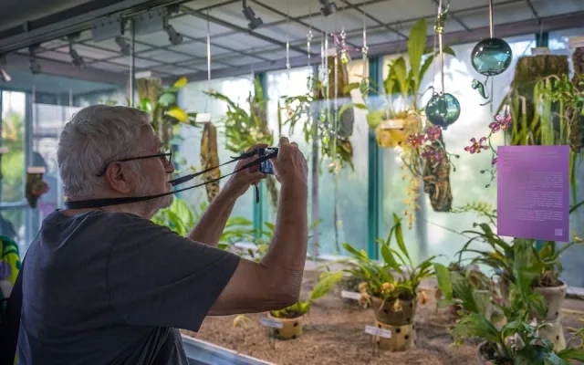 V Botanické zahradě v Liberci přibyly skleněné objekty inspirované přírodou