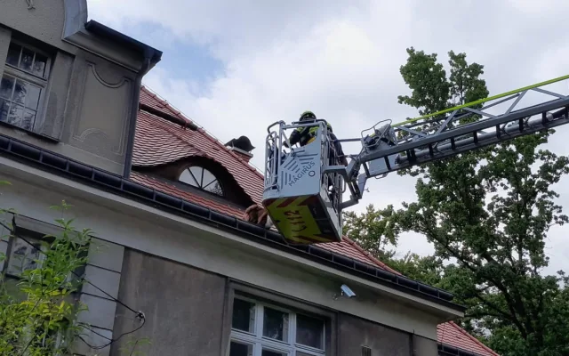 Hasiči v Liberci zachraňovali psa ze střechy domu. Vydal se tam oknem