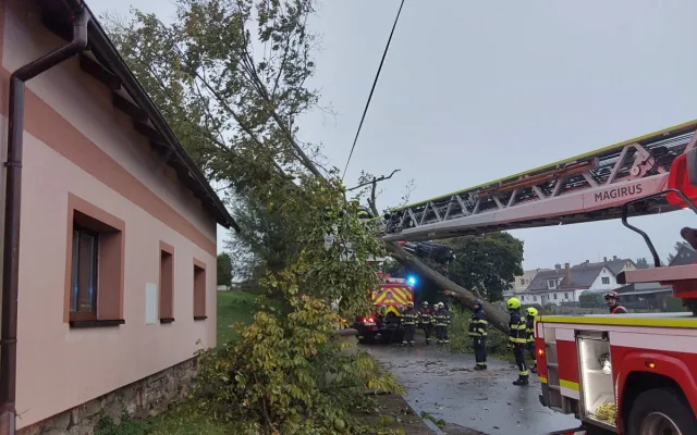 Spadané stromy, nehody, požáry. I to řešili hasiči o volebním víkendu